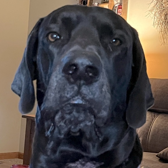 Meet your Posher, Jomarie - Picture 1 of 1